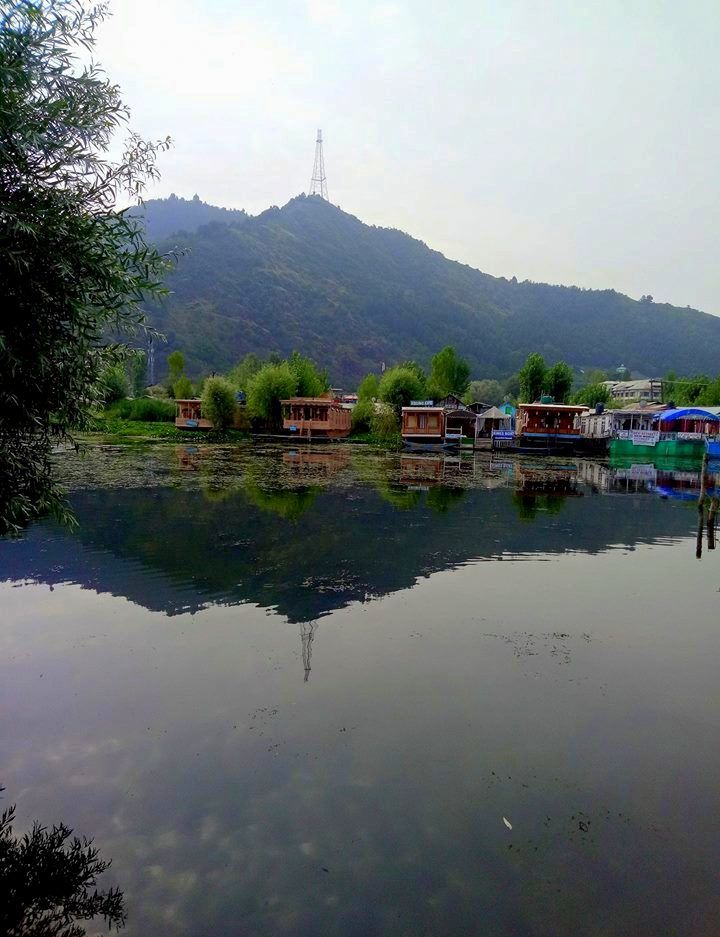 Photo of Here's Why Kashmir Deserves To Be Labeled Back As “The Land of Tourism”! 3/3 by Esha Jafri