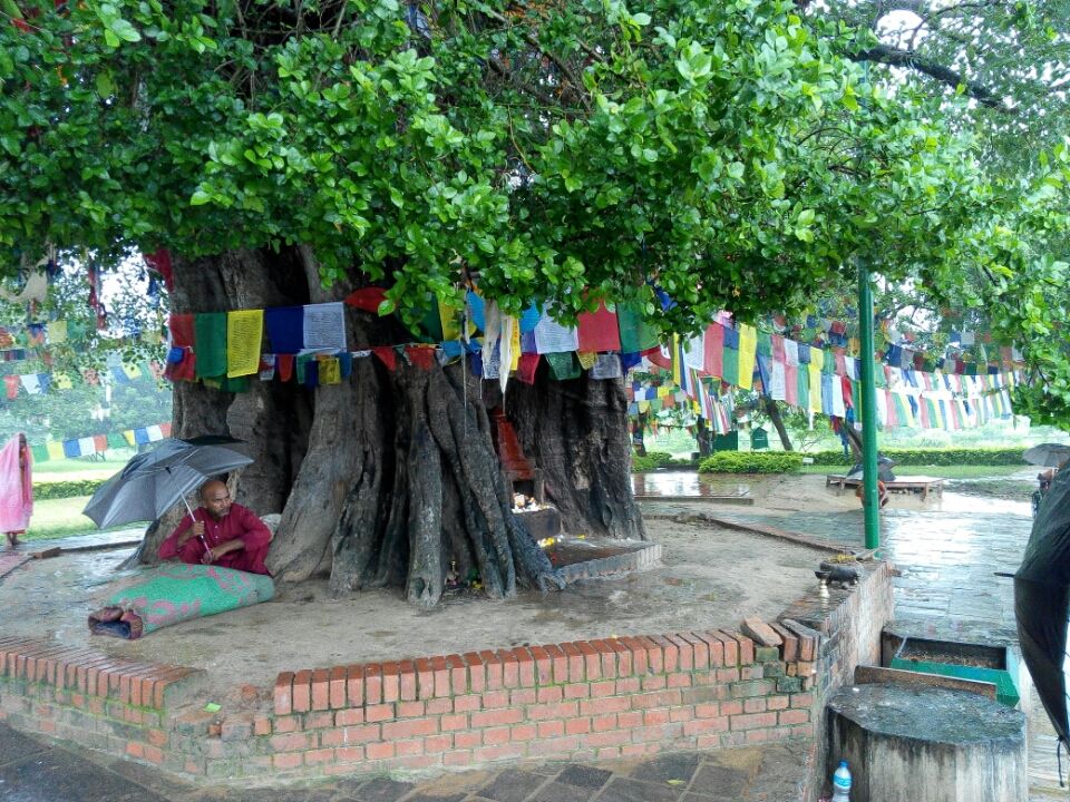 Photo of Trip To Pashupathinath Mahadev... Nepal , pokhra and DEVA BHOOMI Rshikesh by Mano Nethi