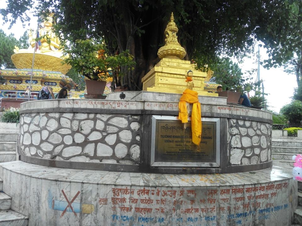 Photo of Trip To Pashupathinath Mahadev... Nepal , pokhra and DEVA BHOOMI Rshikesh by Mano Nethi