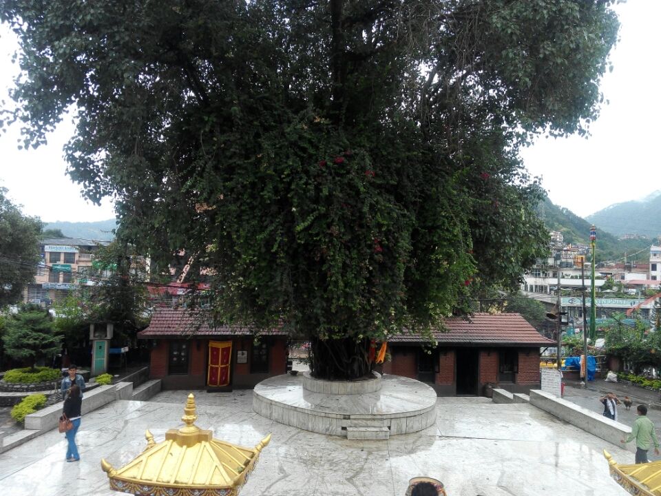Photo of Trip To Pashupathinath Mahadev... Nepal , pokhra and DEVA BHOOMI Rshikesh by Mano Nethi