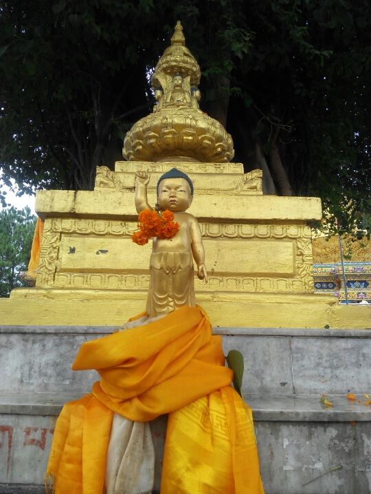 Photo of Trip To Pashupathinath Mahadev... Nepal , pokhra and DEVA BHOOMI Rshikesh by Mano Nethi