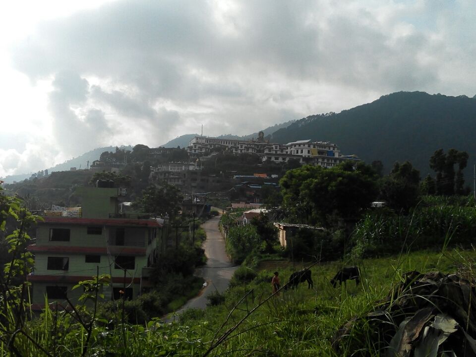 Photo of Trip To Pashupathinath Mahadev... Nepal , pokhra and DEVA BHOOMI Rshikesh by Mano Nethi