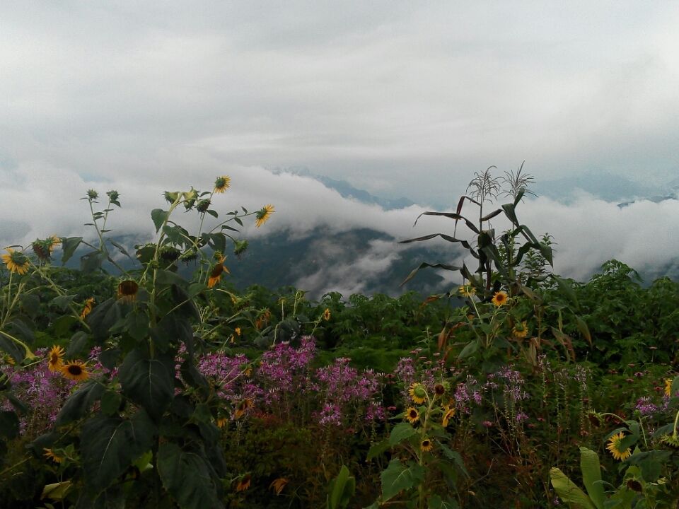 Photo of Trip To Pashupathinath Mahadev... Nepal , pokhra and DEVA BHOOMI Rshikesh by Mano Nethi