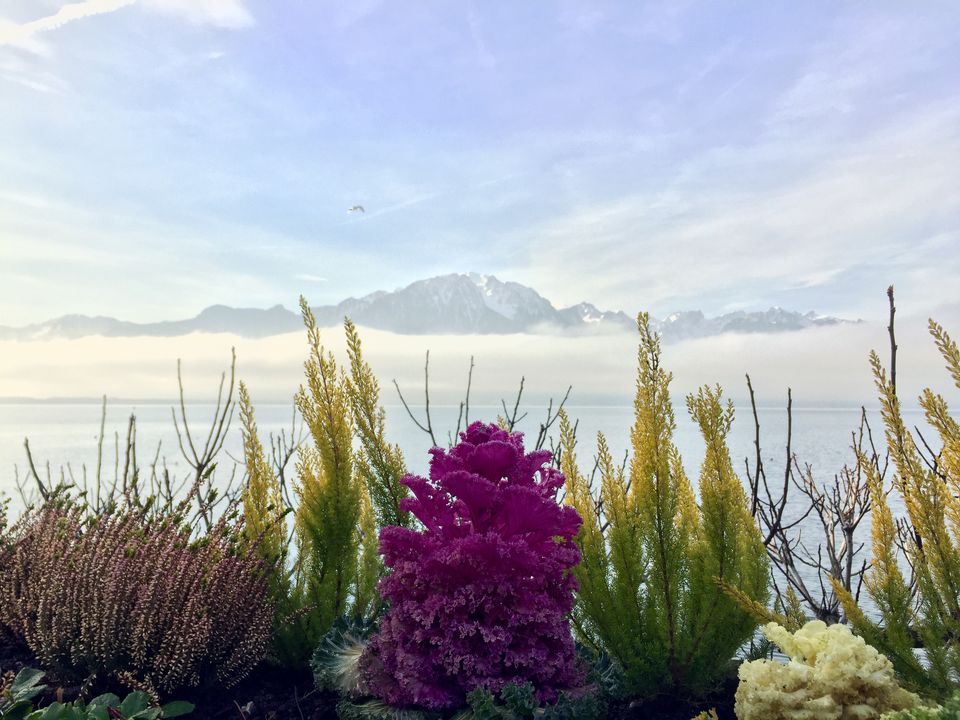 Photo of Weekend break in Montreux Switzerland 8/10 by Travelbug's life