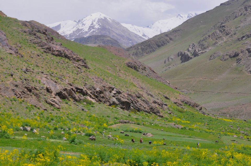 Photo of A summer spent in Kargil 1/4 by Kuhelika Bisht