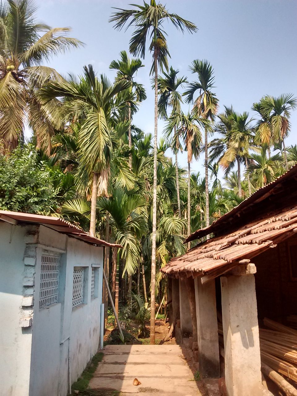 Photo of Velas, Maharashtra, India by Avani