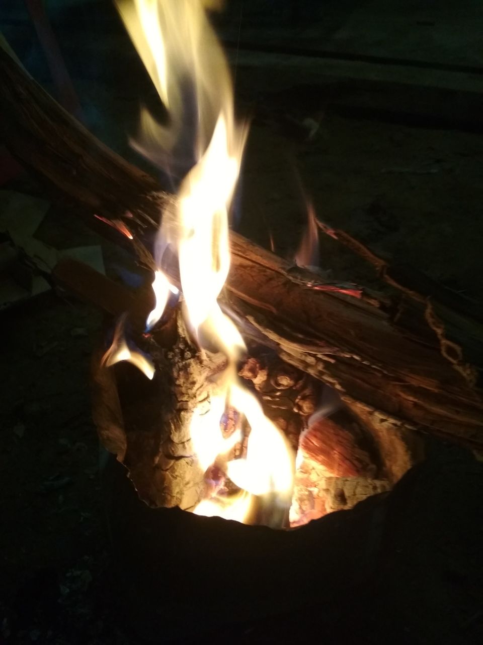 Photo of Zostel Pushkar, Panch Kund Road, Choti Basti, Pushkar, Rajasthan, India by Avani