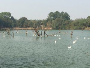 Photo of A day in Hauz Khas Village 2/5 by Manika Bisht