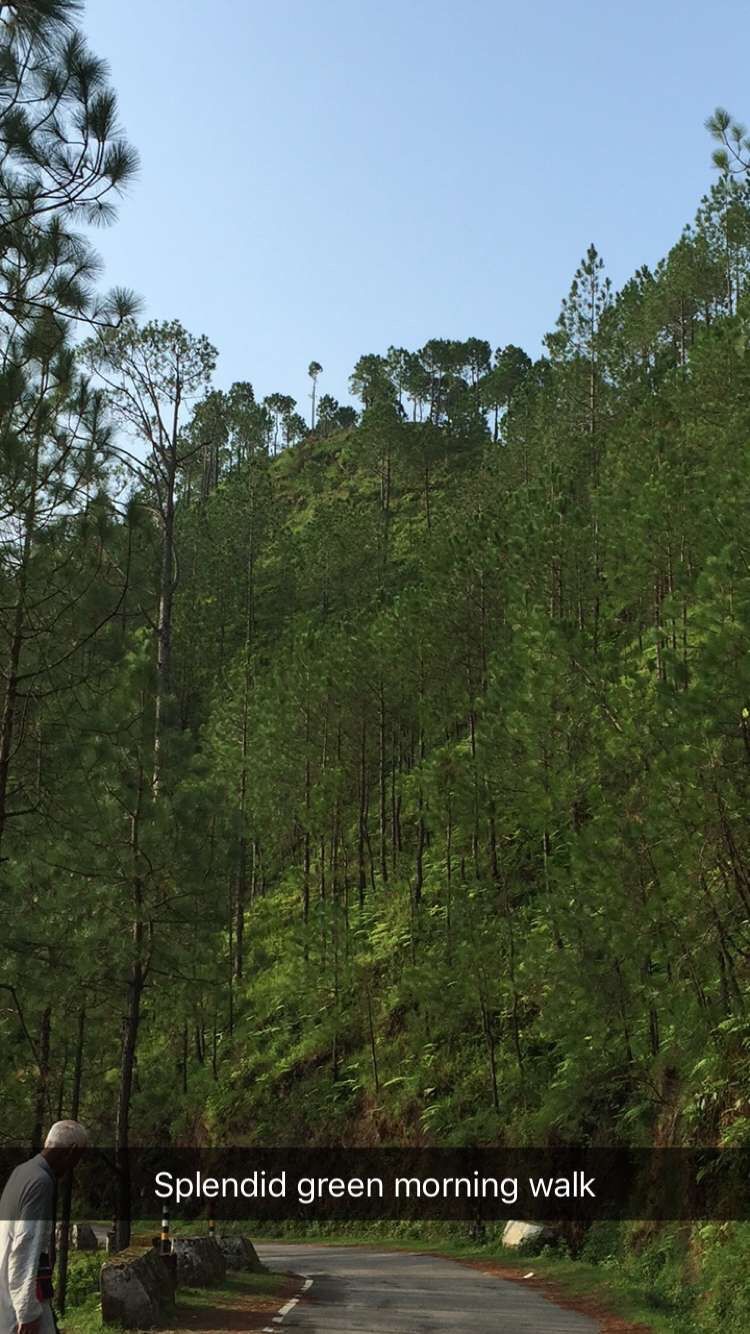Photo of A Getaway to Lansdowne 1/18 by Manika Bisht