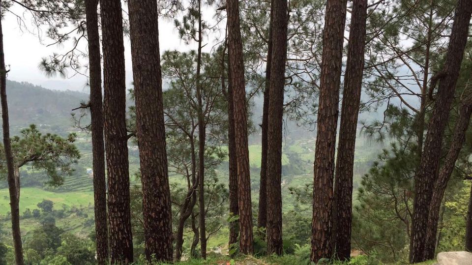 Photo of A Getaway to Lansdowne 6/18 by Manika Bisht