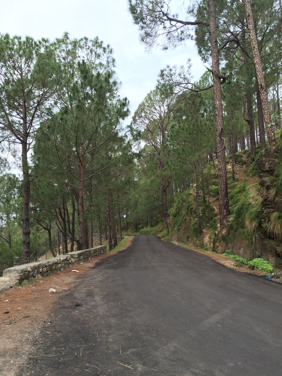 Photo of A Getaway to Lansdowne 7/18 by Manika Bisht