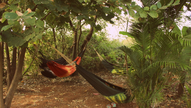 Photo of Paragliding in Kamshet 7/10 by Bharti Singh