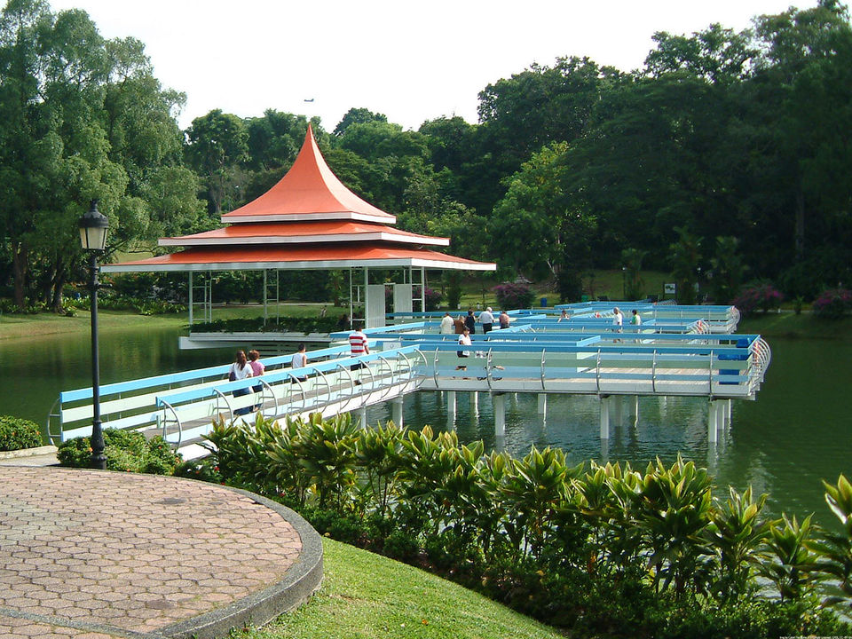 Photo of MacRitchie Reservoir, MacRitchie Reservoir, Singapore by Prashi