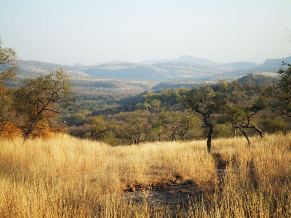 Photo of Kukraj Mountain , Ranthambore by Prashi