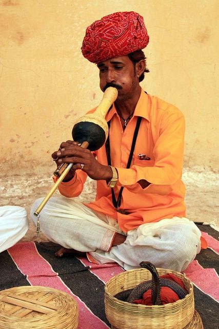 Photo of A Guide to Sunshine State: Rajasthan - Jaipur 11/11 by Prashi
