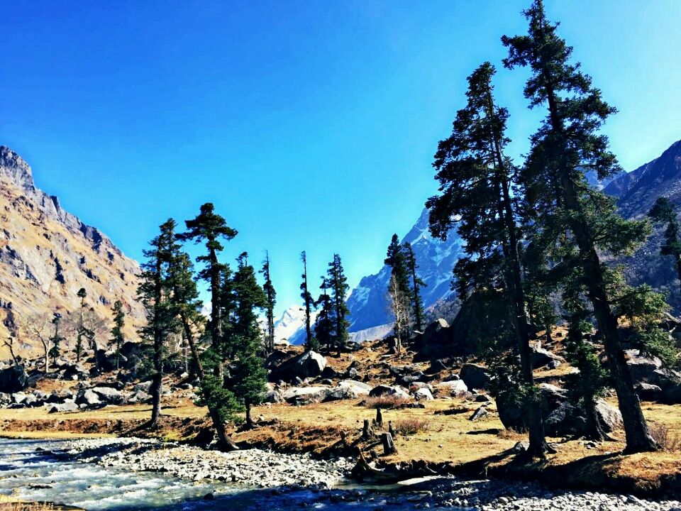 Photo of Uttarakhand, India by Dccpna Kaveriappa