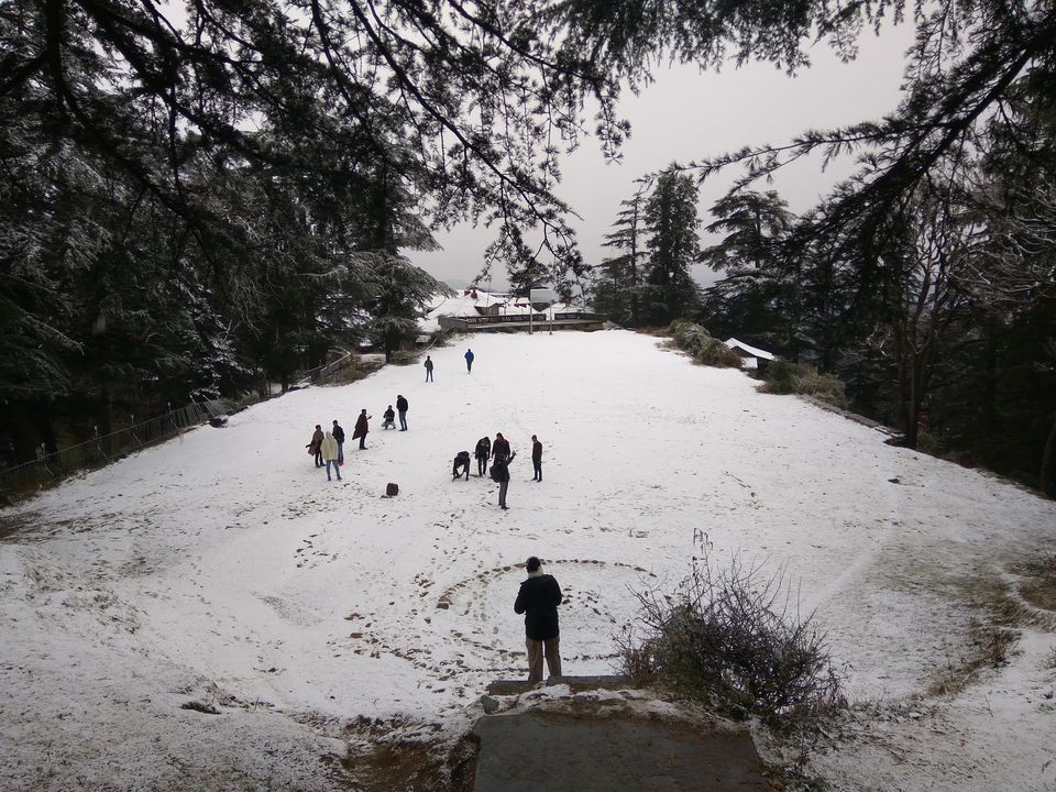 Photo of Shimla, Himachal Pradesh, India by Harsh Gaurav