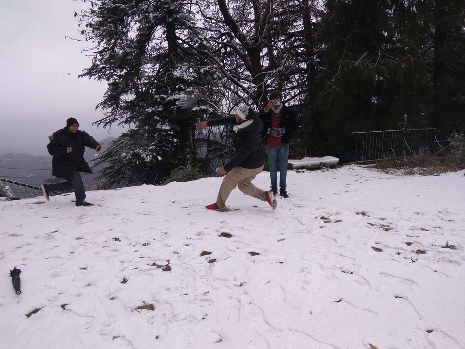 Photo of Escape to explore - Shimla-Manali-Kasol by Harsh Gaurav