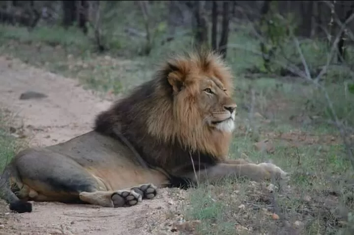 Photo of Hoedspruit by Prajwal Shetty Kaup