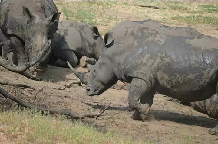 Photo of Hoedspruit by Prajwal Shetty Kaup