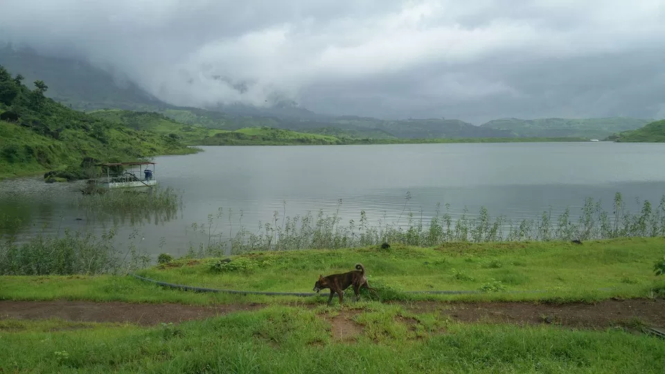 Photo of Dhom Lake, Maharashtra by Saini Krishnamurthy