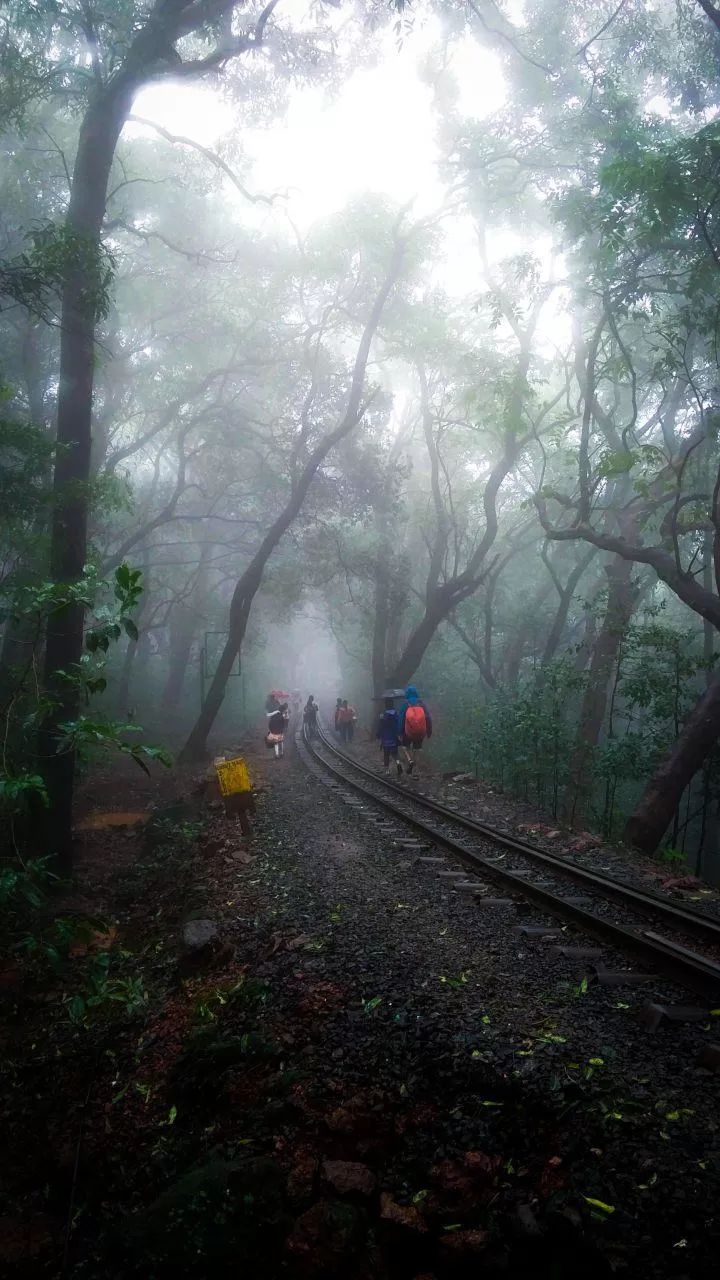 Photo of Matheran, Maharashtra, India by Saini Krishnamurthy