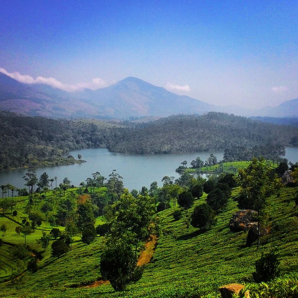 Photo of 5 Must Do's on your trip to KERALA! 1/2 by Madhumita Chatterjee