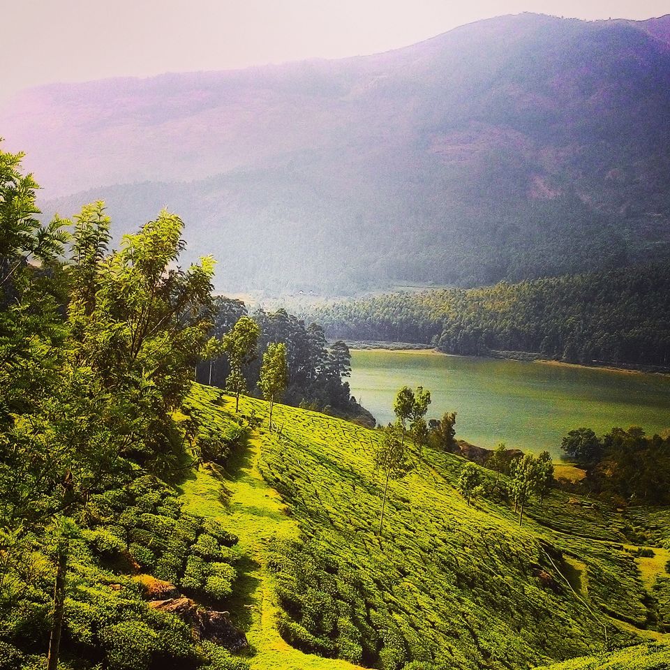 Photo of 5 Must Do's on your trip to KERALA! 2/2 by Madhumita Chatterjee