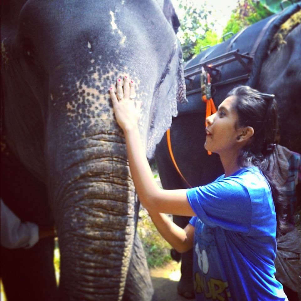 Photo of 5 Must Do's on your trip to KERALA! by Madhumita Chatterjee