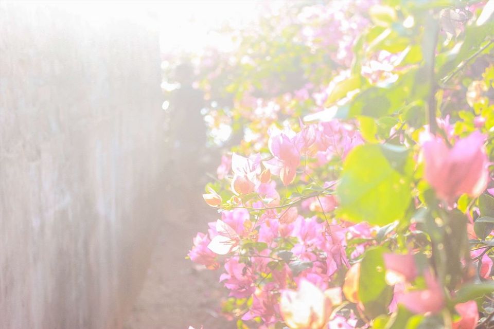 Photo of A Chennai - Pondicherry Getaway 2/2 by Anusha Nakshathra
