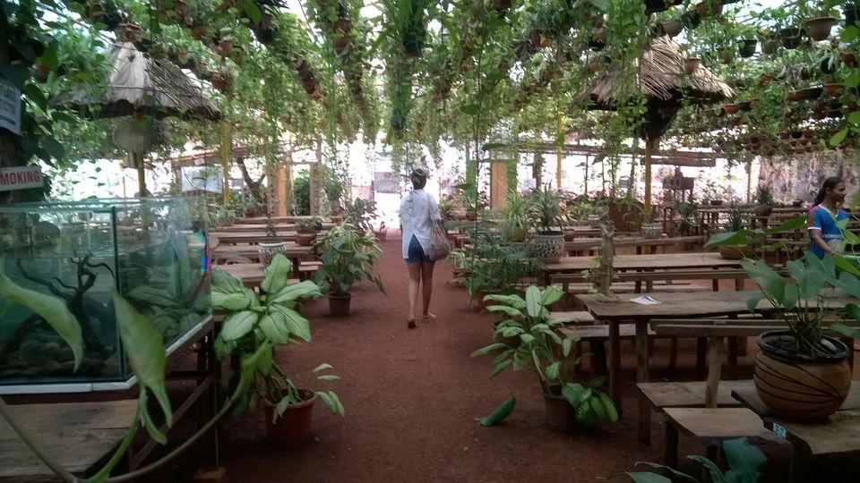 Photo of Tropical Spice Plantation, Ponda, Goa, India by Anusha Nakshathra