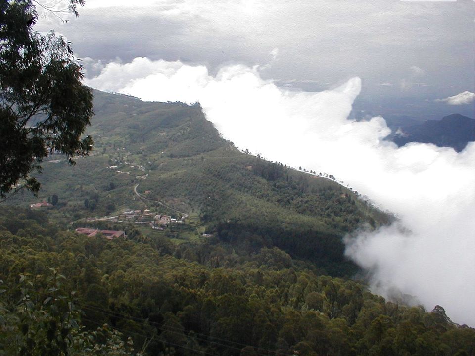 Photo of Coaker's Walk, Kodaikanal, Tamil Nadu, India by Anusha Nakshathra