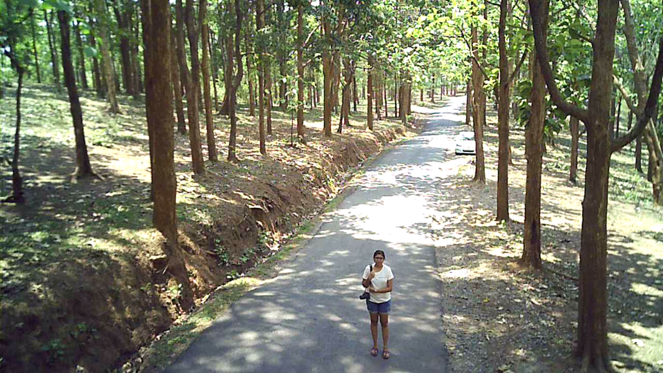 Photo of Kuruva, Wayanad, Kerala, India by Anusha Nakshathra