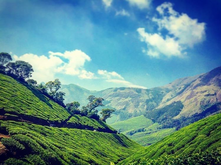Photo of The uphill ride to Kolukkumalai by Anusha Nakshathra