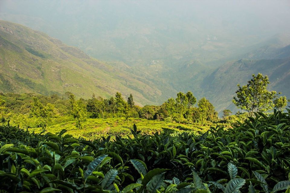 Photo of The uphill ride to Kolukkumalai by Anusha Nakshathra