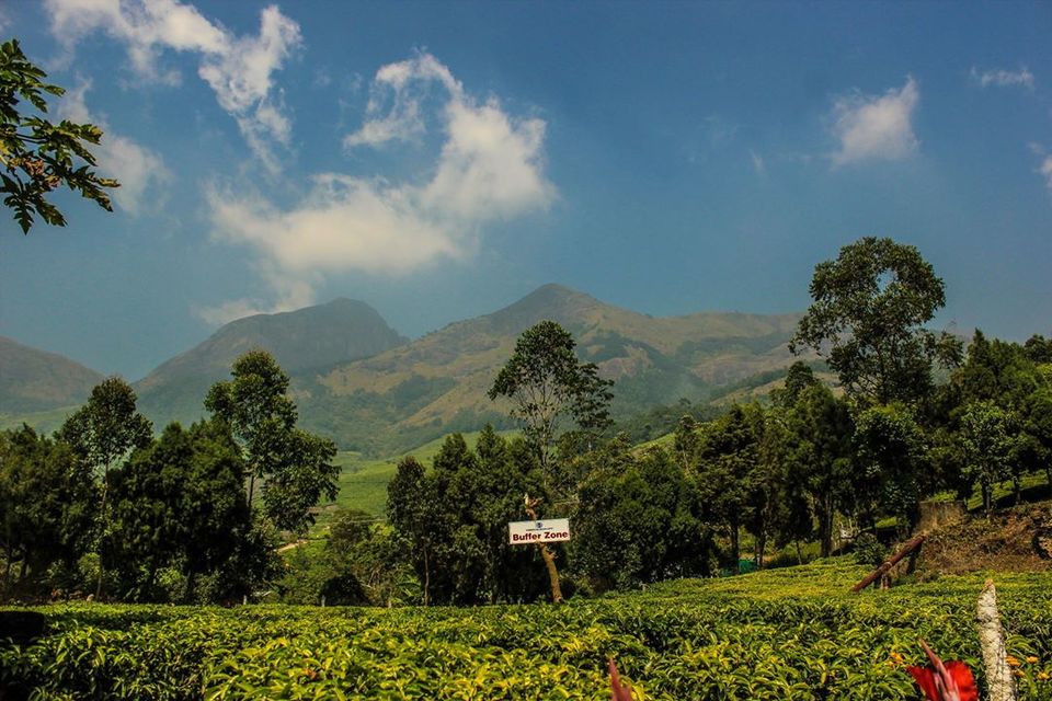 Photo of The uphill ride to Kolukkumalai by Anusha Nakshathra