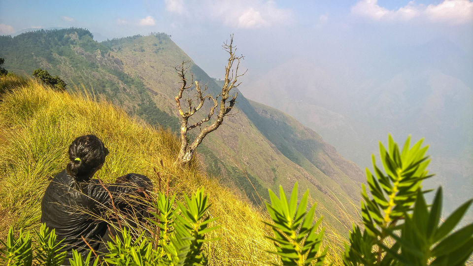 Photo of The uphill ride to Kolukkumalai by Anusha Nakshathra