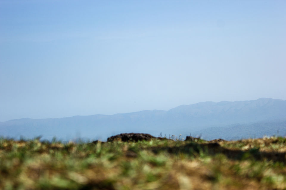Photo of The Hidden Jewels Of Chikmagalur by Anusha Nakshathra