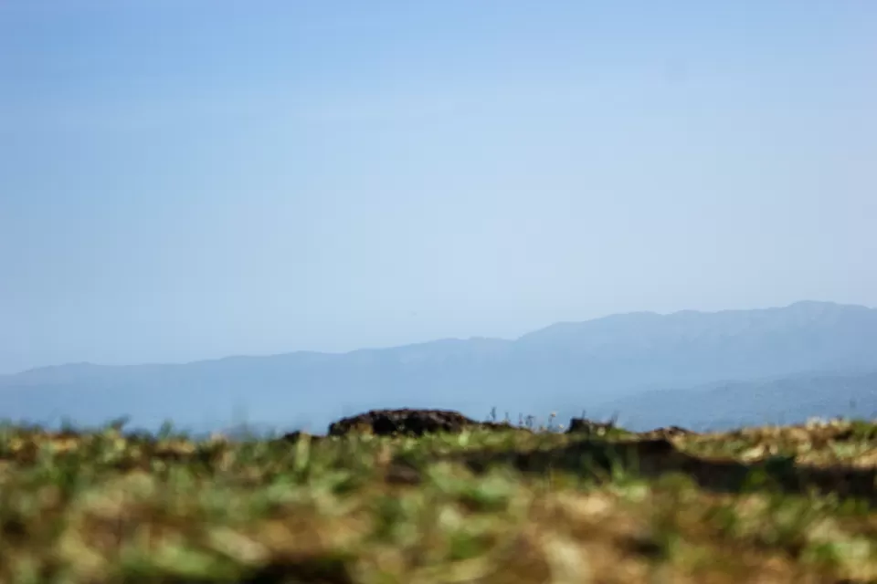 Photo of The Hidden Jewels Of Chikmagalur by Anusha Nakshathra
