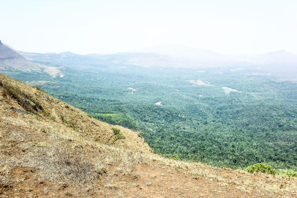 Photo of Baba Budangiri, Nagenahalli, Karnataka, India by Anusha Nakshathra