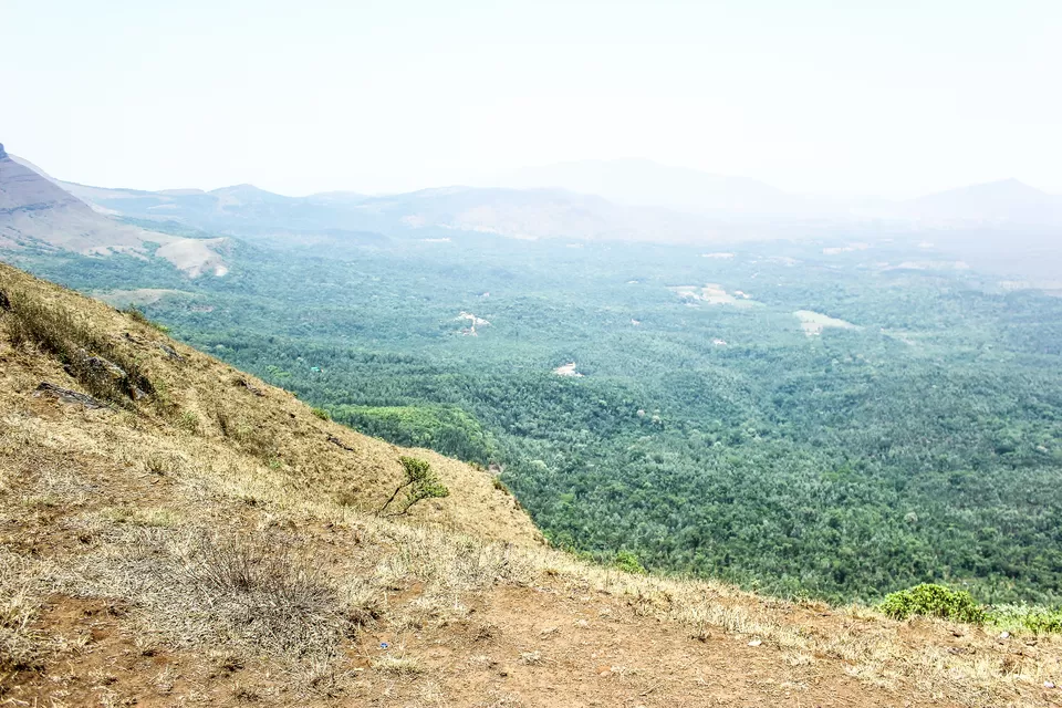Photo of Baba Budangiri, Nagenahalli, Karnataka, India by Anusha Nakshathra