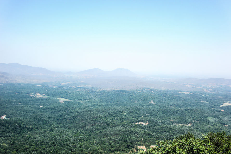 Photo of Baba Budangiri, Nagenahalli, Karnataka, India by Anusha Nakshathra