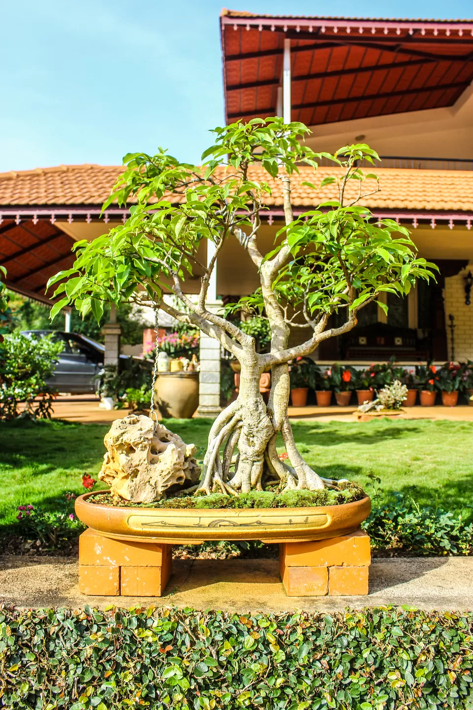 Photo of Thotadhahalli Homestay, Thotadahalli, Karnataka, India by Anusha Nakshathra