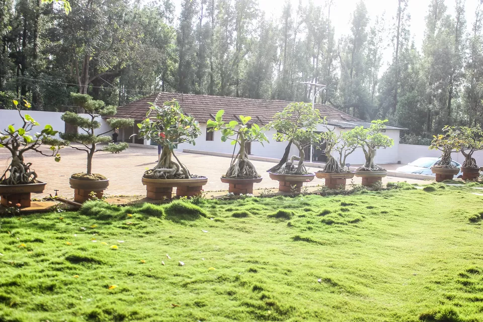 Photo of The Hidden Jewels Of Chikmagalur by Anusha Nakshathra