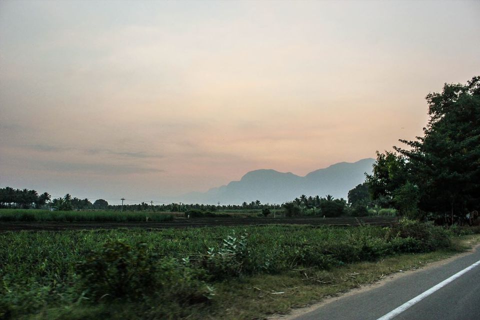 Photo of Kolukkumalai Tea Estate, Kottagudi, Tamil Nadu, India by Anusha Nakshathra