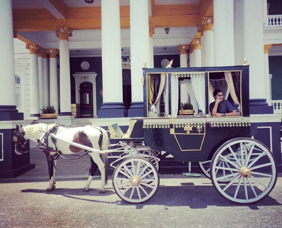 Photo of A Royal Stay in Lalitha Mahal by Anusha Nakshathra