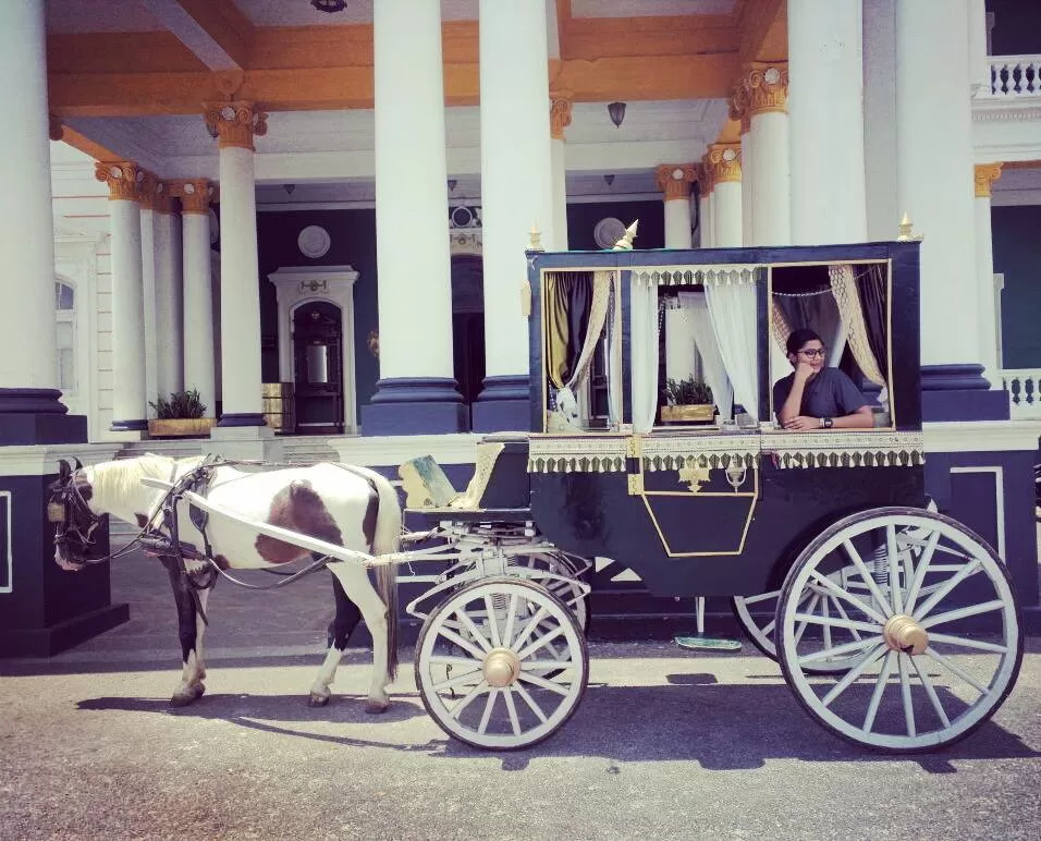 Photo of A Royal Stay in Lalitha Mahal by Anusha Nakshathra