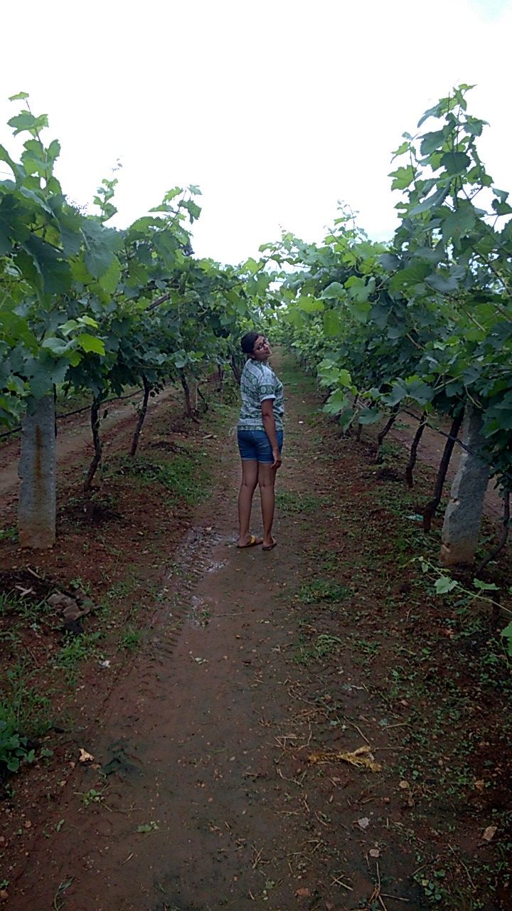 Photo of The True Art Of Wine Tasting! 4/5 by Anusha Nakshathra