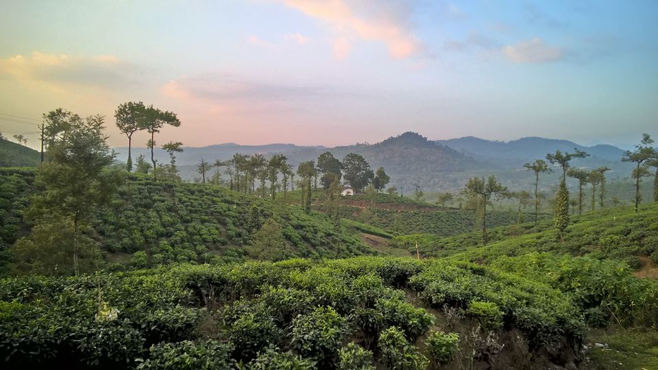 Photo of Athirappilly, Vettilappara, Pariyaram, Kerala, India by Anusha Nakshathra
