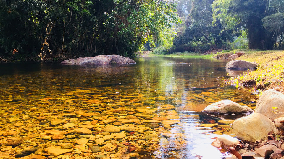 Photo of Into The Heart Of Coorg 1/1 by Anusha Nakshathra